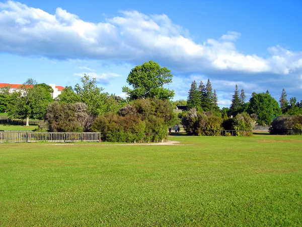 stock image Kuirau Park with Geothermal Activity