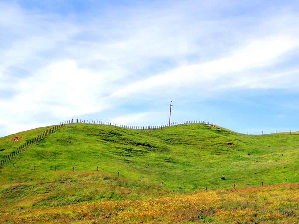 Fences alone hills. New Zealand — Stock Photo, Image