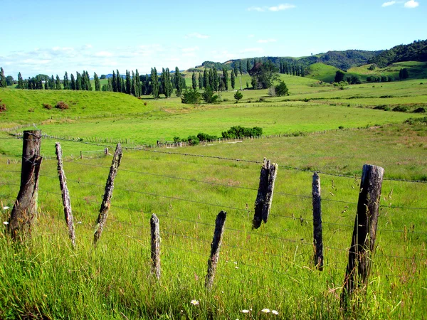 Valla y tierras de cultivo, Waitomo, Nueva Zelanda — Foto de Stock