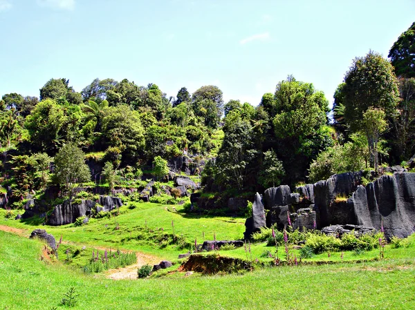 Waitomo skalnaté scenérie, Nový Zéland — Stock fotografie