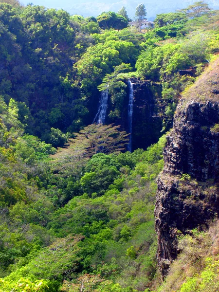 Tropische vallei van opeakaa valt, hawaii — Stockfoto