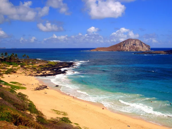 Tropické Havajské pláži, oahu — Stock fotografie