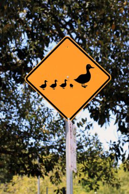 Duck Crossing Warning Road Sign clipart