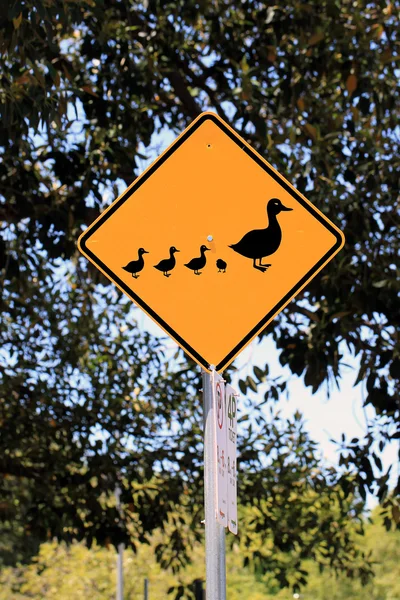 Kachna křížení silnice varování — Stock fotografie
