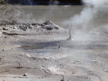 rotorua, Yeni Zelanda yakınında bir jeotermal faaliyet