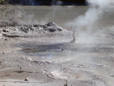 Geothermal Activity near Rotorua, NZ clipart