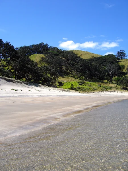Whangapoua beach, Nowa Zelandia — Zdjęcie stockowe