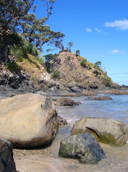 Whangapoua beach, Nya Zeeland — Stockfoto
