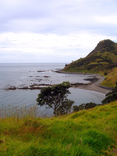 Península de Coromandel Costa, Nueva Zelanda — Foto de Stock