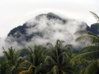 Sahil borneo peyzaj