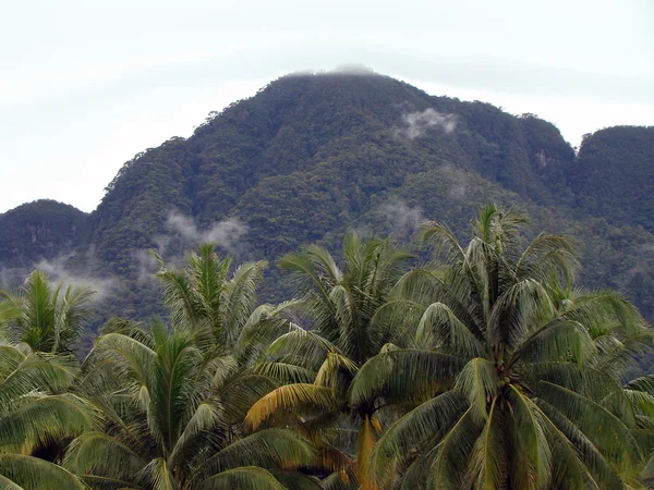 Costa Borneo paisaje — Foto de Stock