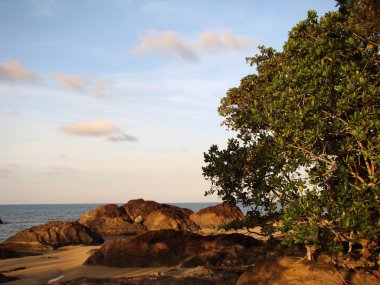 Evening on a natural beach of Borneo clipart