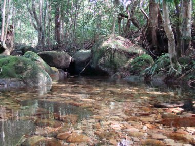 Kuching yirmiden manzaralar