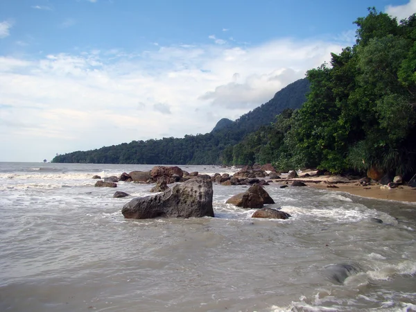 Coast Borneo landscape. — Stock Photo, Image