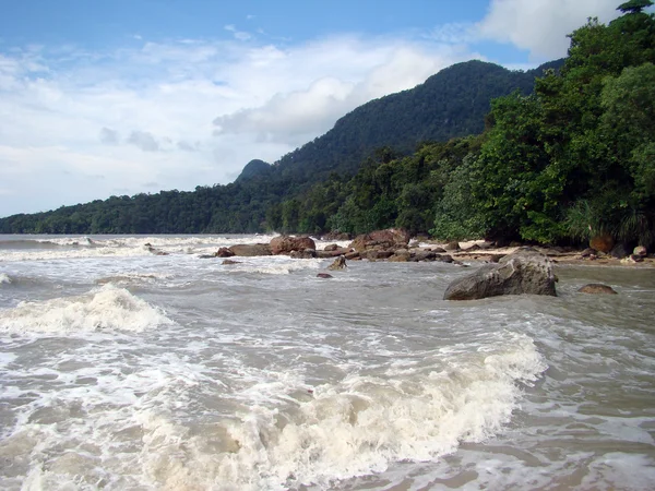 Coast Borneo landscape. — Stock Photo, Image