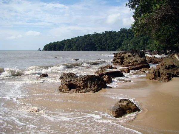 Costa Borneo paisaje . — Foto de Stock