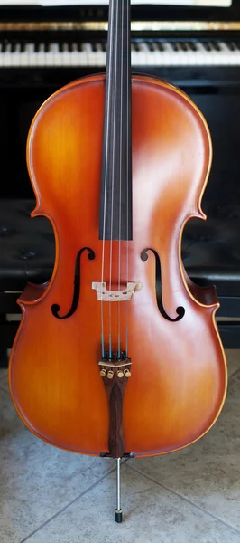 Cello panoramaudsigt - Stock-foto