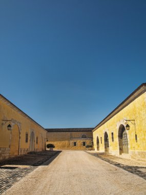 büyük sarı ev