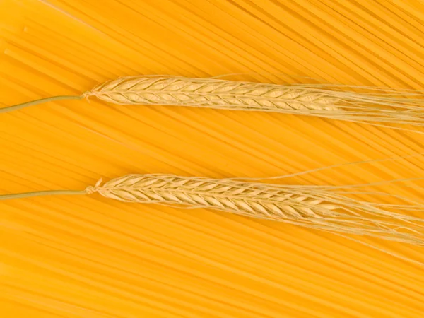 Spaghetti i pszenicy — Zdjęcie stockowe