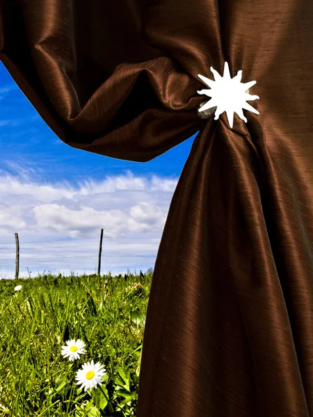 Opening on a beautiful meadow — Stock Photo, Image