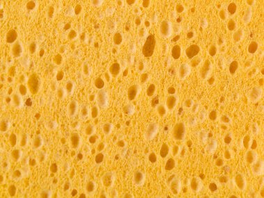 Sponge background clipart