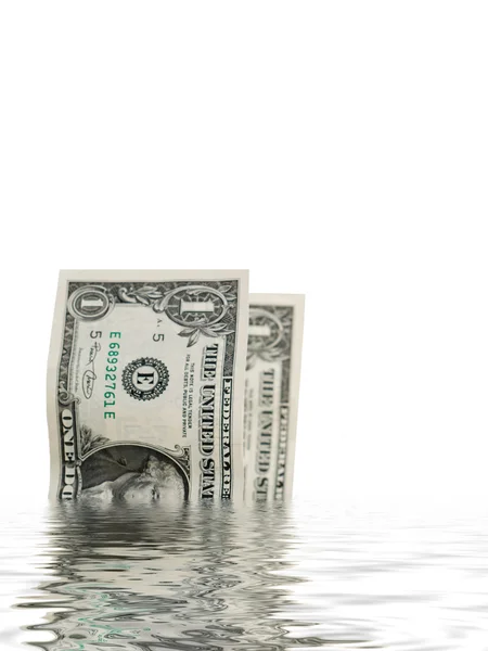 stock image Dollar bills in water