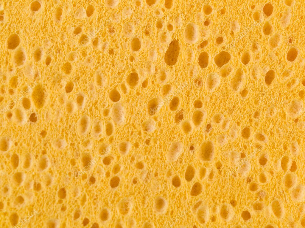 Sponge background Stock Photo by ©ldambies 2476720