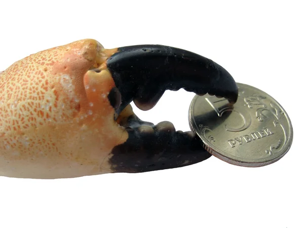 Münze in den Krallen einer Krabbe — Stockfoto