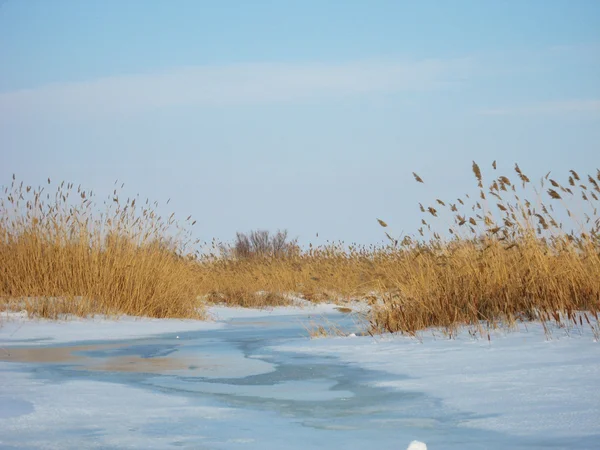 stock image Frozen river