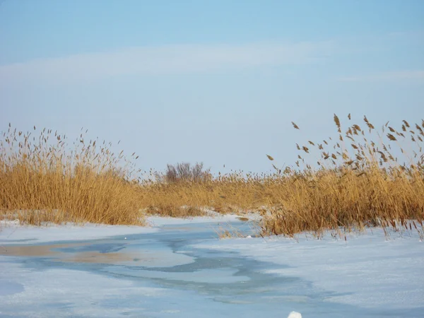 Замерзла річка — стокове фото