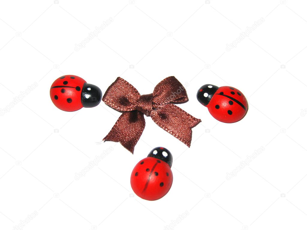 Ladybugs with a bow