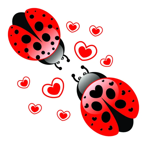 Loving ladybugs — Stock Vector