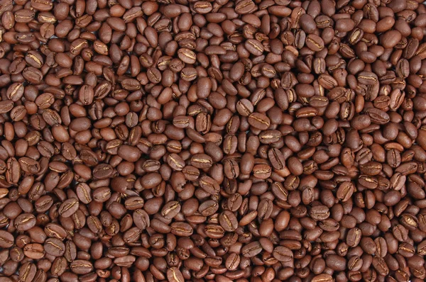 stock image Background from coffee grains