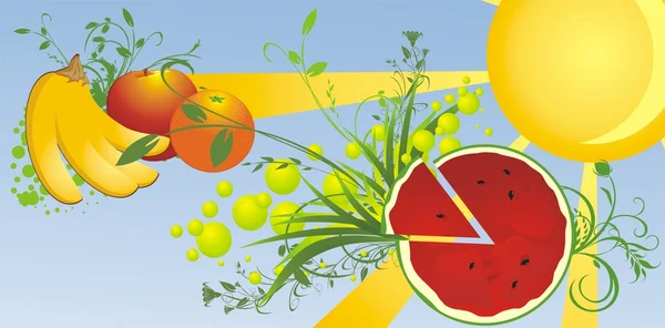 Vattenmelon och frukt. sommar bakgrund — Stock vektor