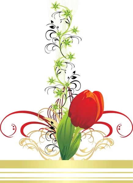 Tulipa e ornamento floral — Vetor de Stock