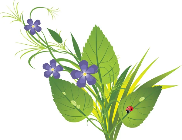 Букет цветов и травы — стоковый вектор