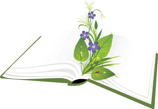 Βιβλίο και μπουκέτο λουλούδια — Διανυσματικό Αρχείο