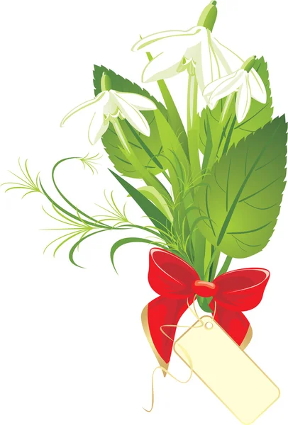 Bouquet di bucaneve con fiocco e carta — Vettoriale Stock