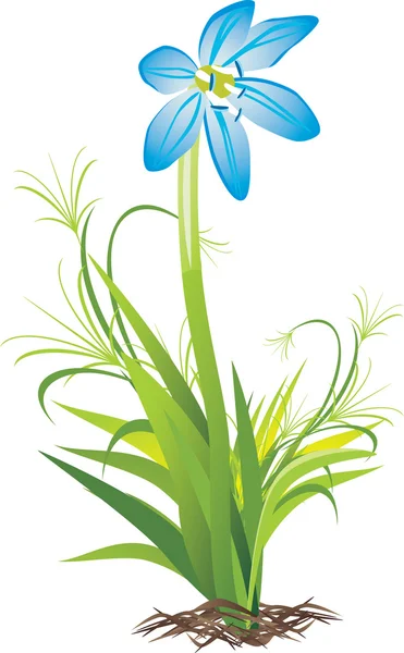 Spring flower — Stock Vector