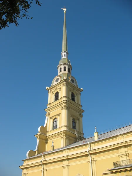 Petropavlovsky Katedrali. — Stok fotoğraf