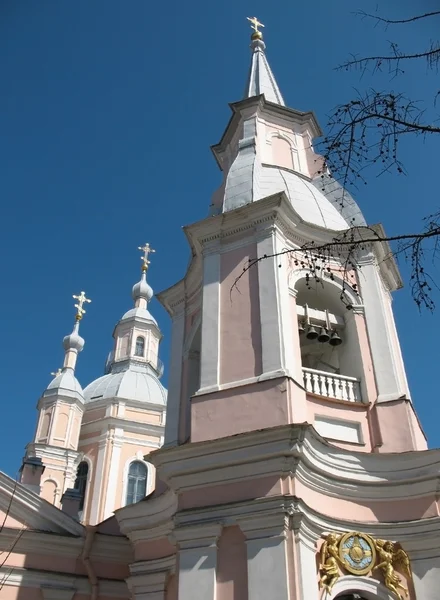 Cattedrale di Sant'Andrea. San Pietroburgo — Foto Stock