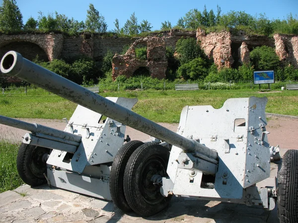 stock image Arms and the ruins. Schlisselburg