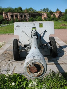 silah ve harabeler. schlisselburg