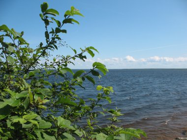 Lake Ladoga clipart