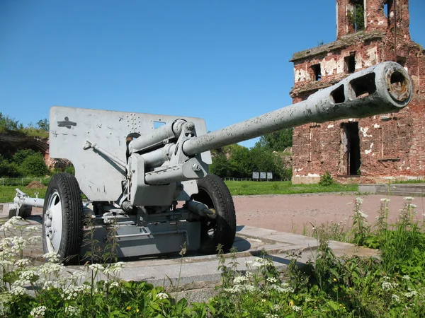 stock image Arms and the ruins