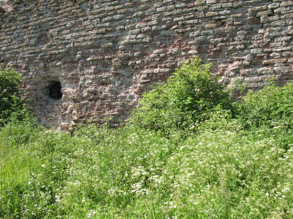 Las ruinas de la fortaleza de Schlisselburg — Foto de Stock