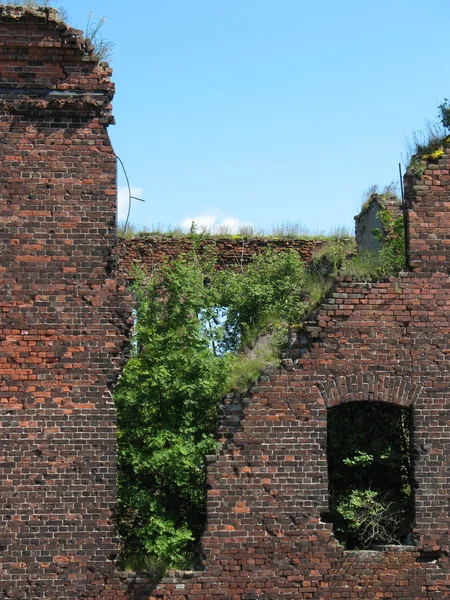 stock image The ruins of Schlisselburg fortress