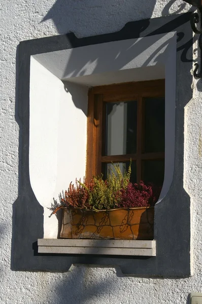 stock image Decorated window