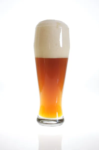 Pivní sklenice s pivem v podsvícení — Stock fotografie