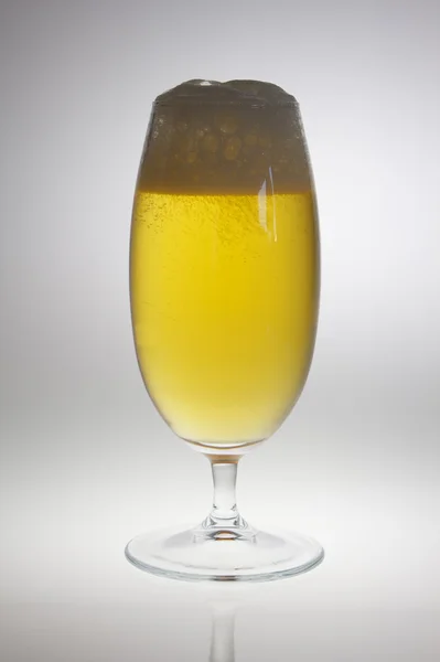Bier goblet met bier in achtergrondverlichting — Stockfoto